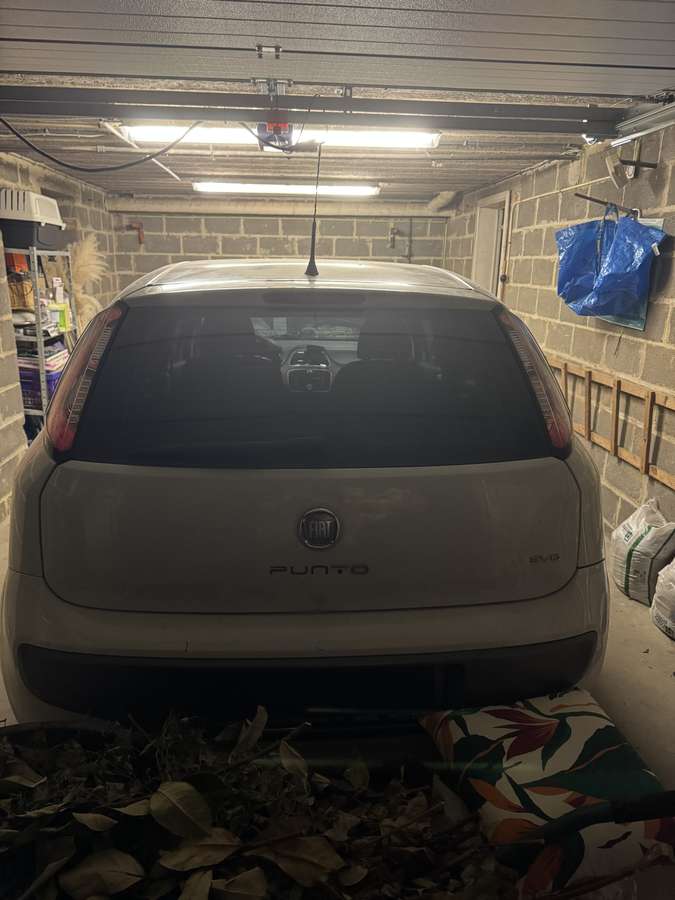 Fiat Punto 2011