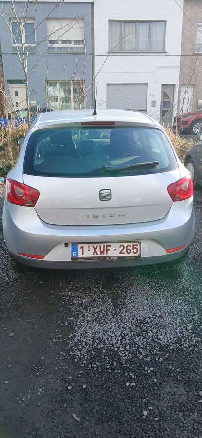 Seat Ibiza 2010